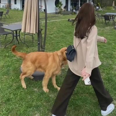 末日狂想曲